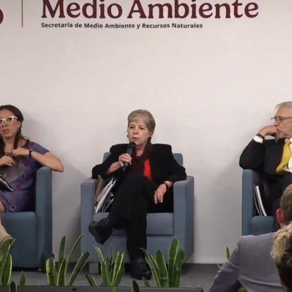 Impiden ecocidio en Caribe mexicano; frenan proyecto