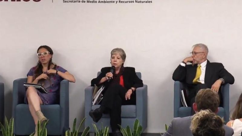 Impiden ecocidio en Caribe mexicano; frenan proyecto