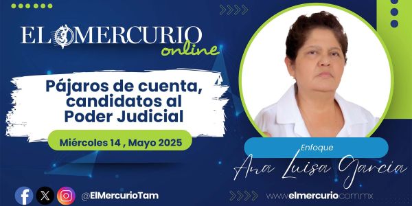 Pájaros de cuenta, candidatos al Poder Judicial