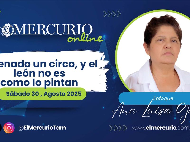 El Senado un circo, y el león no es como lo pintan