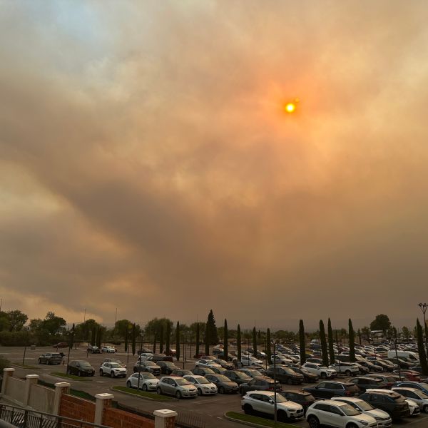 Huyen miles  por incendios en España