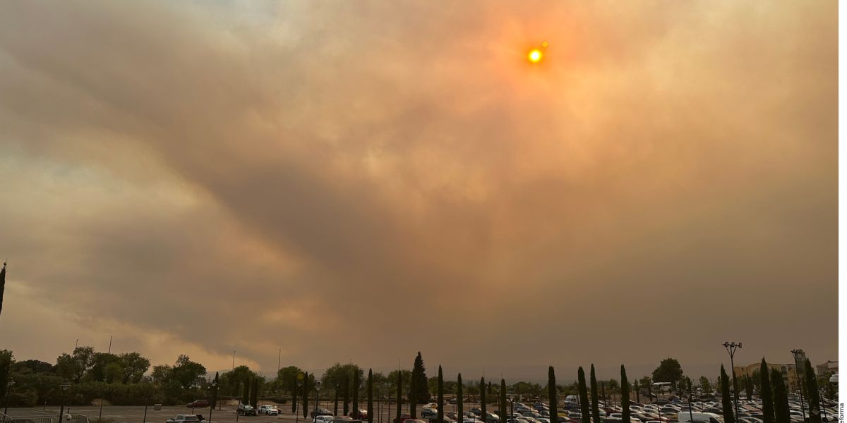 Huyen miles  por incendios en España