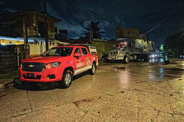 Alertan en Madero por presencia de cocodrilos cerca de lagunas