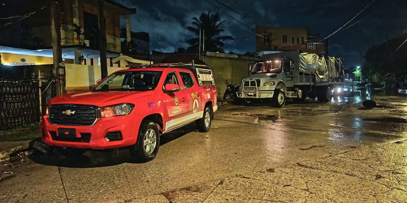 Alertan en Madero por presencia de cocodrilos cerca de lagunas