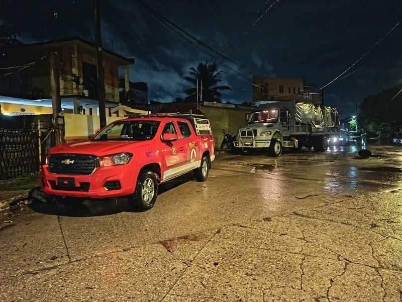 Alertan en Madero por presencia de cocodrilos cerca de lagunas