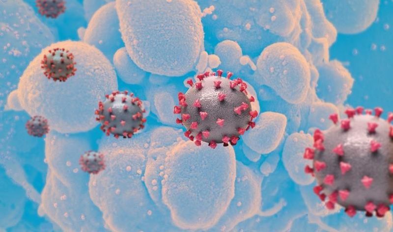 Variante COVID BA.3.2 ; estos son los síntomas principales