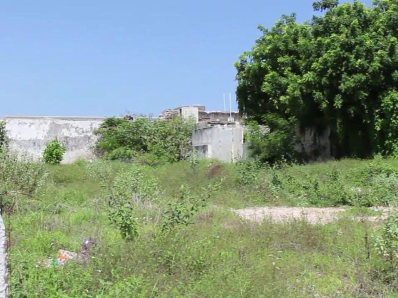 Pide SEDUMA sanciones para dueños de predios baldíos