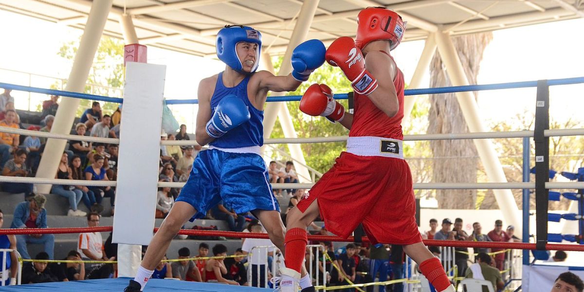 Estatal de Boxeo ¡¡Fuera seconds!!