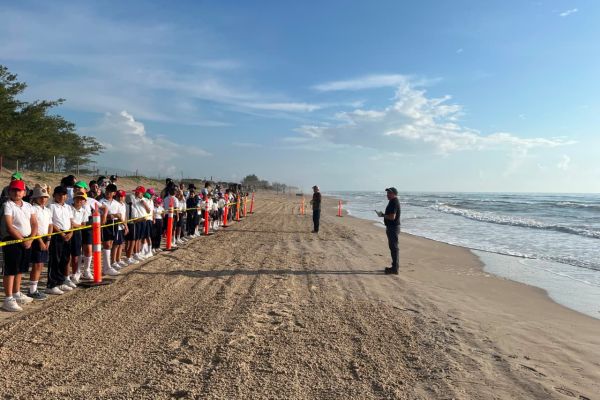 Fortalece Tamaulipas  educación ambiental mediante liberación de crías de tortuga lora