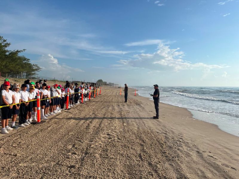 Fortalece Tamaulipas  educación ambiental mediante liberación de crías de tortuga lora