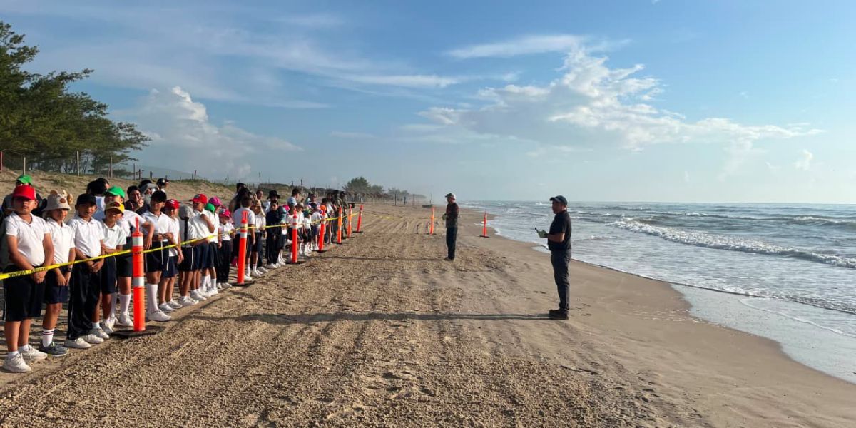 Fortalece Tamaulipas  educación ambiental mediante liberación de crías de tortuga lora