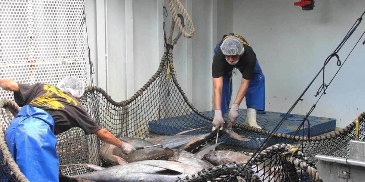 México aumentó su producción pesquera y acuícola en 2021