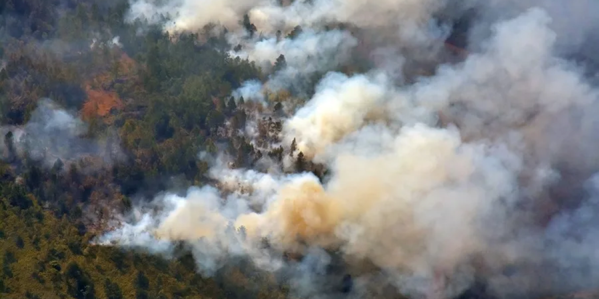 Incendios forestales en Cuba superan en meses lo quemado en cuatro años