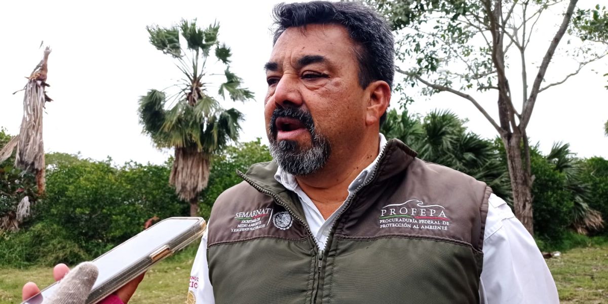 Recorre PROFEPA la laguna del  Carpintero para rescatar iguanas