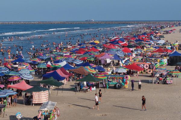 Detectan intento de apropiación irregular de 11 hectáreas de Playa Miramar