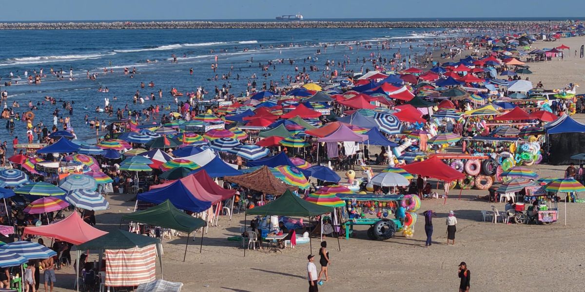 Detectan intento de apropiación irregular de 11 hectáreas de Playa Miramar