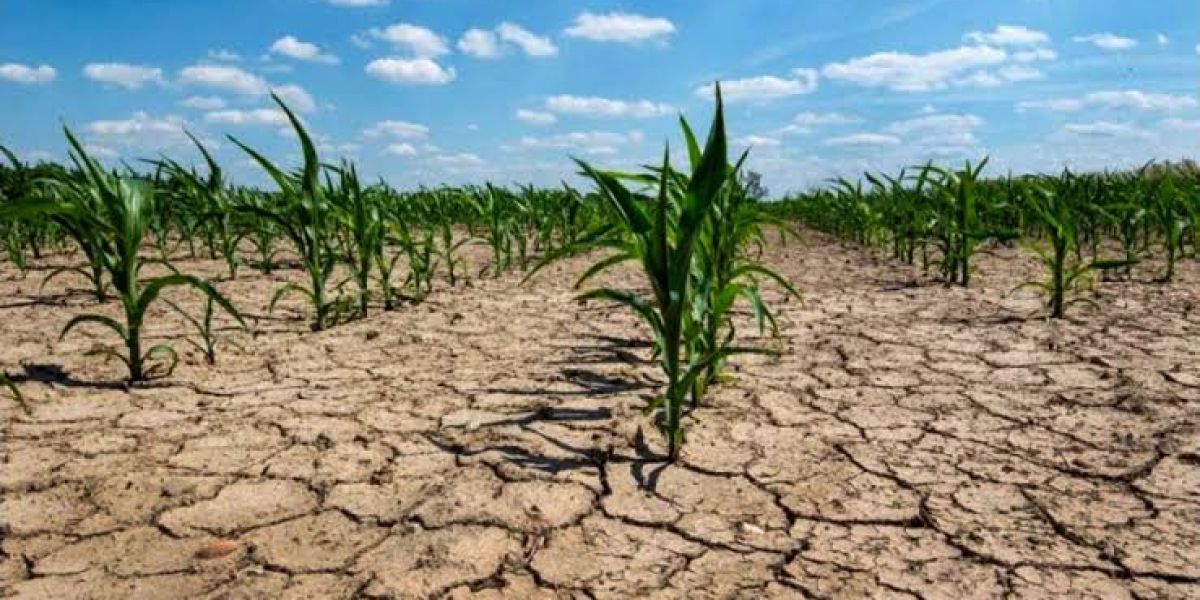 Amenaza sequía extrema  a 20% del Estado en 2026