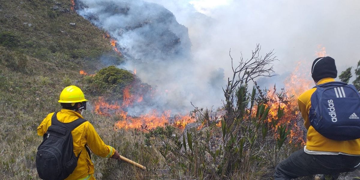 Fuego arrasador: 20 incendios devastan a 17 mil hectáreas
