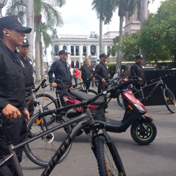 Guardia Estatal rebasada por la delincuencia en el sur del Estado: CANACOPE