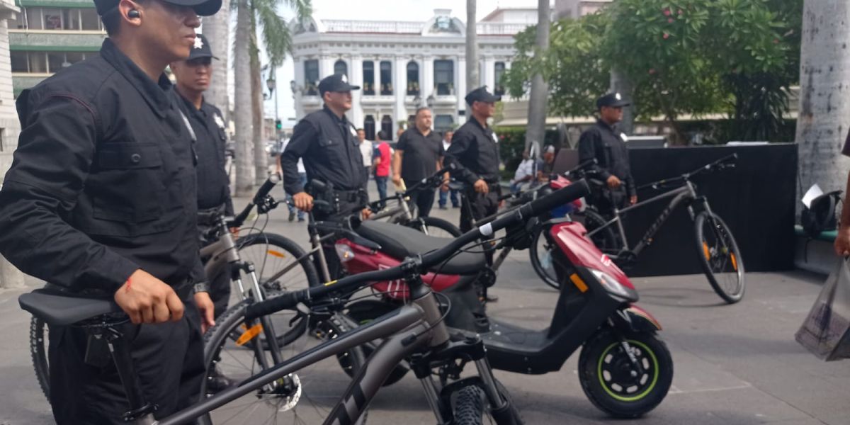 Guardia Estatal rebasada por la delincuencia en el sur del Estado: CANACOPE