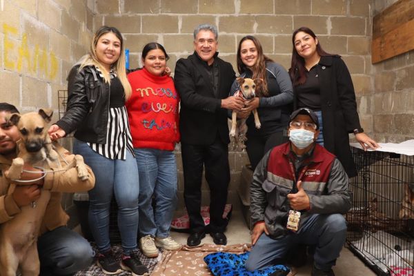 Protege Gobierno de Altamira a animales en situación de calle