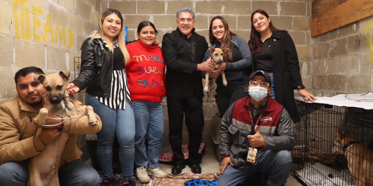 Protege Gobierno de Altamira a animales en situación de calle