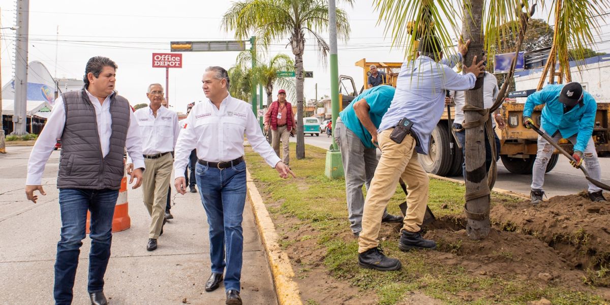 Adrián Oseguera impulsa programa de reforestación en principales avenidas