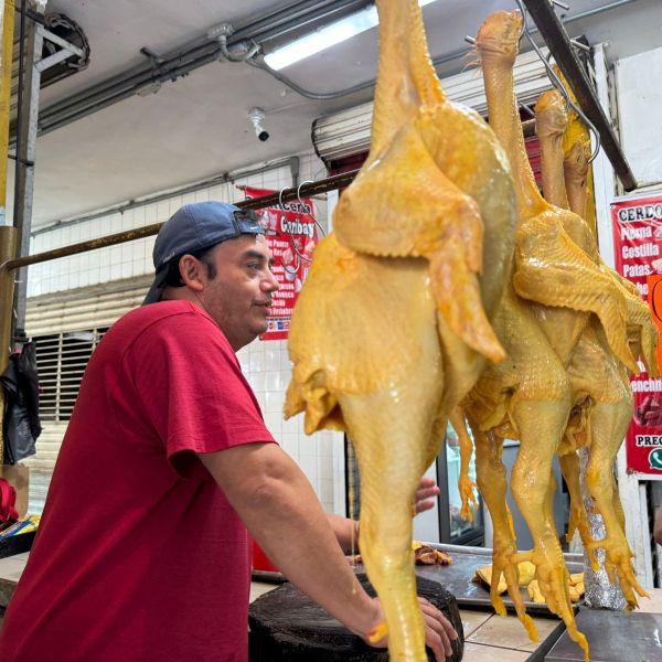 Aumenta el precio del pollo fresco en el sur de Tamaulipas por intenso calor