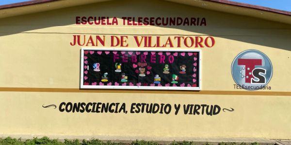 Ataque de abejas deja varios lesionados en telesecundaria de Altamira
