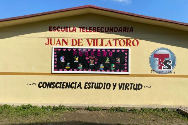 Ataque de abejas deja varios lesionados en telesecundaria de Altamira