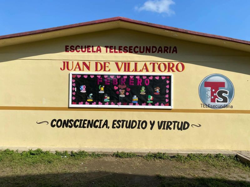 Ataque de abejas deja varios lesionados en telesecundaria de Altamira