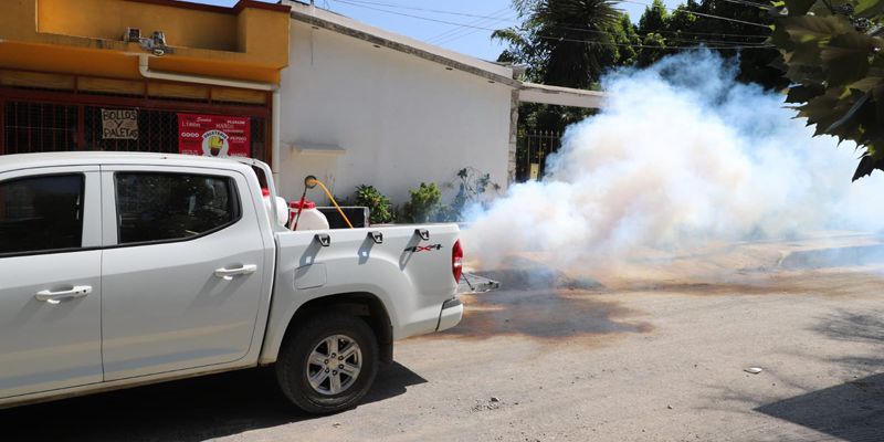 Mantienen en la ciudad la fumigación para prevenir el dengue