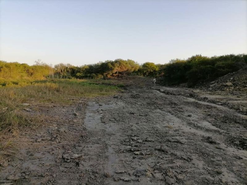 Falta de lluvias mantiene bajo presión a productores de soya en Altamira