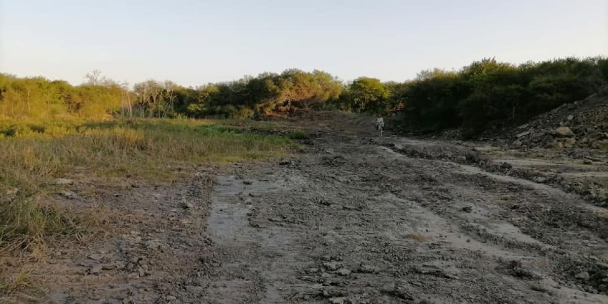 Falta de lluvias mantiene bajo presión a productores de soya en Altamira