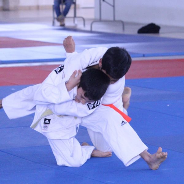 Para el mes de Febrero, habrá estatal de Judo