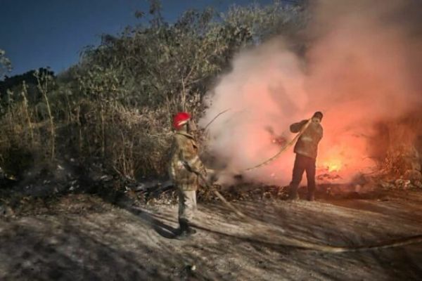 Consume ola de incendios a Victoria; hasta 10 diarios