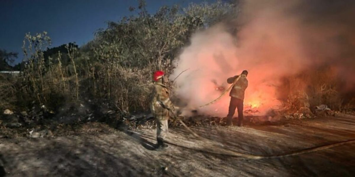 Consume ola de incendios a Victoria; hasta 10 diarios