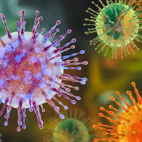 Hantavirus: lo que debes saber 