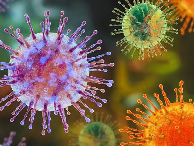 Hantavirus: lo que debes saber 