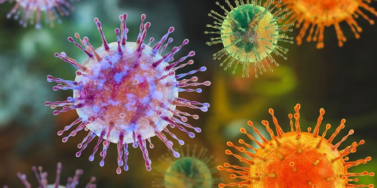 Hantavirus: lo que debes saber 