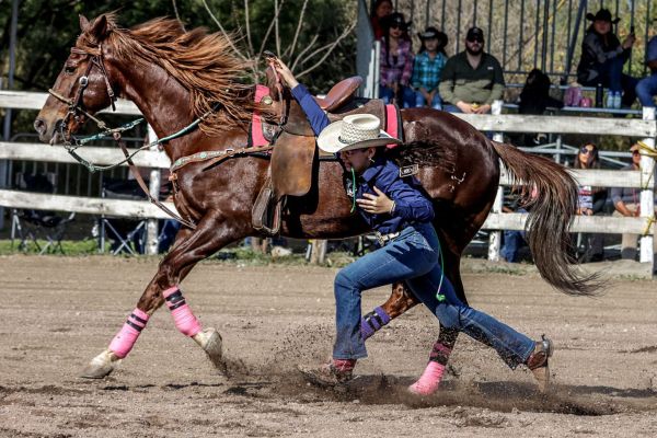 Continúa la Olimpiada Estatal del Deporte en Tamaulipas