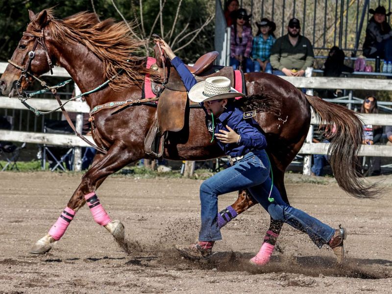 Continúa la Olimpiada Estatal del Deporte en Tamaulipas