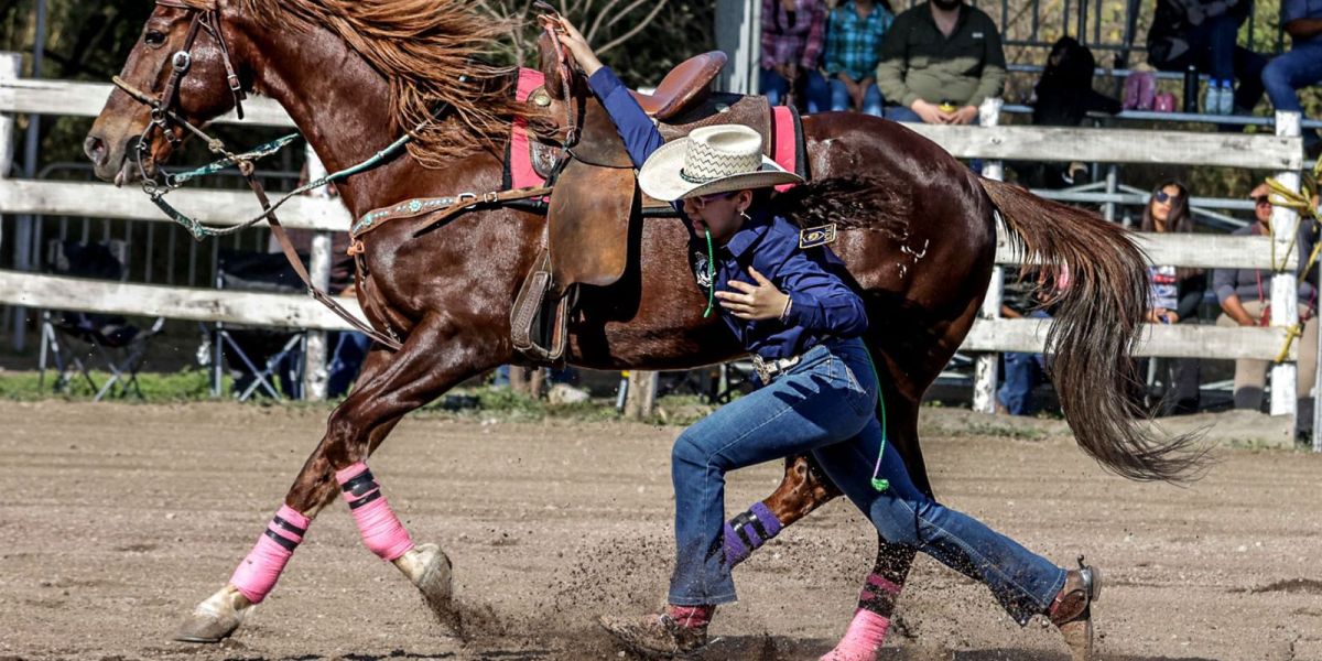 Continúa la Olimpiada Estatal del Deporte en Tamaulipas