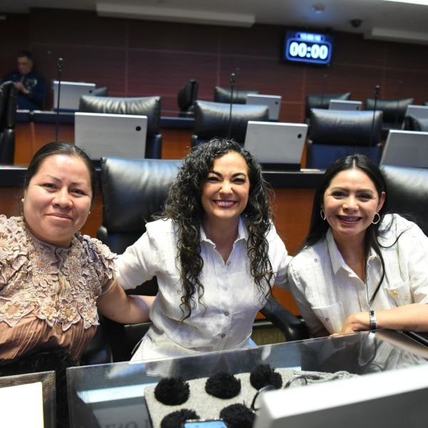 Reforma de Olga Sosa garantizará la conservación del acervo bibliográfico de los pueblos originarios