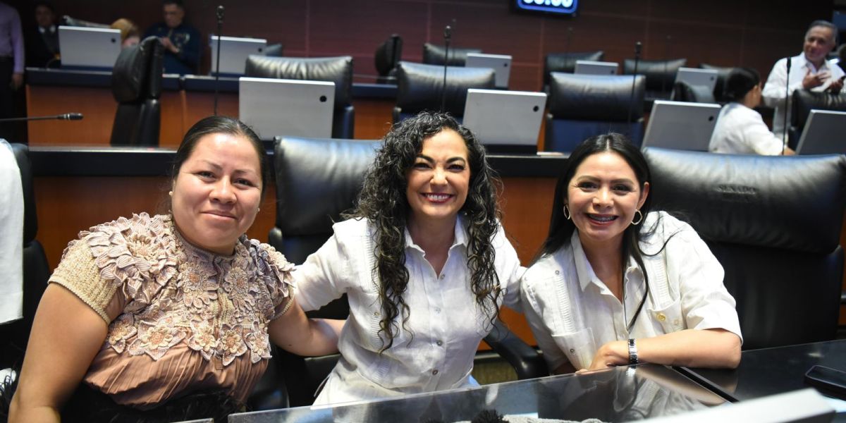 Reforma de Olga Sosa garantizará la conservación del acervo bibliográfico de los pueblos originarios