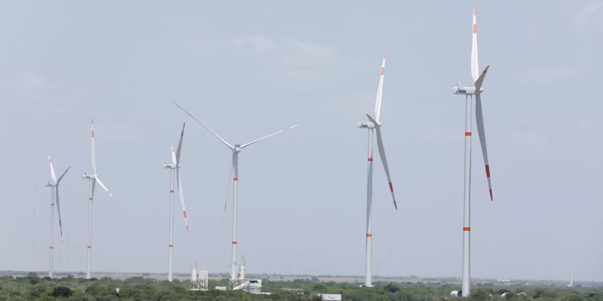 Tamaulipas genera más de una cuarta parte de la energía eólica nacional