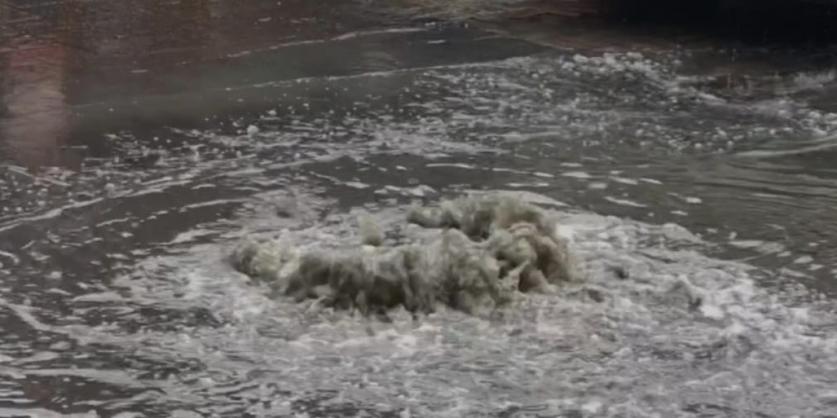 Lluvias y basura en drenajes provocan brote de caídos