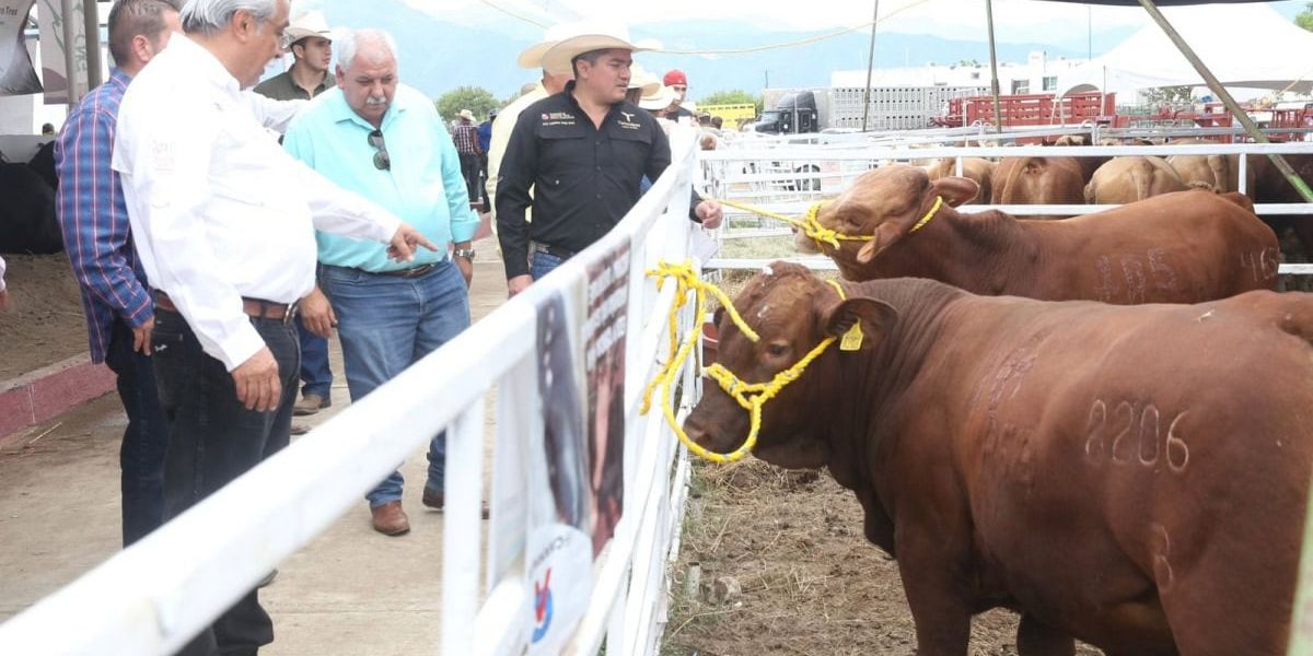 Destacará presencia ganadera en la Feria Tamaulipas 2025