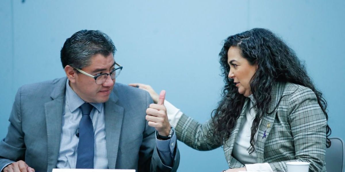 Senadora Olga Sosa propone que acceso a la energía eléctrica sea considerado derecho humano