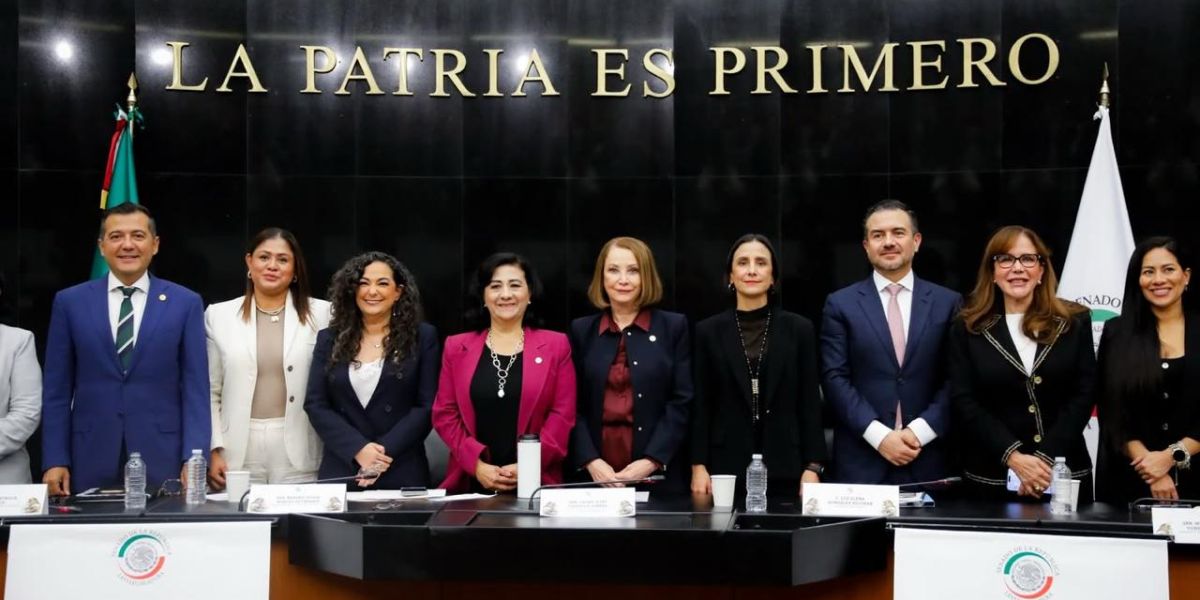 Nuevo modelo energético pone en el centro la justicia energética: senadora Olga Sosa